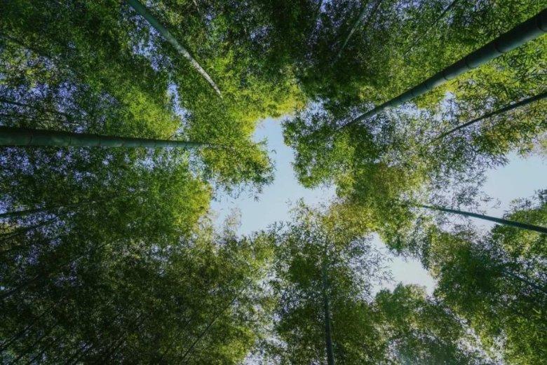 生产不合格医疗器械，南昌市康洁医用卫生用品有限公司受处罚